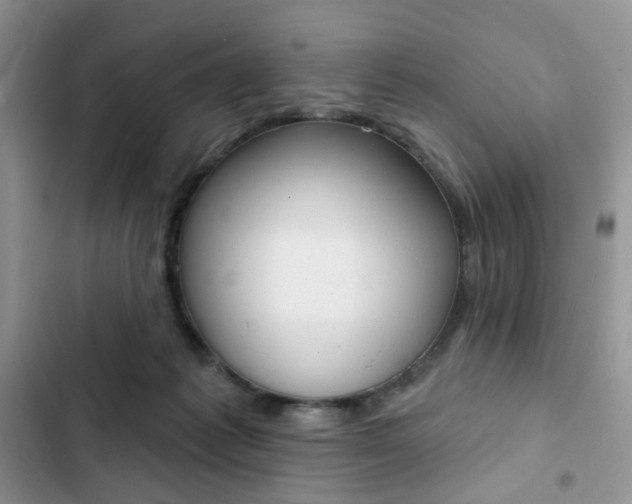 X0000102830221200808181056