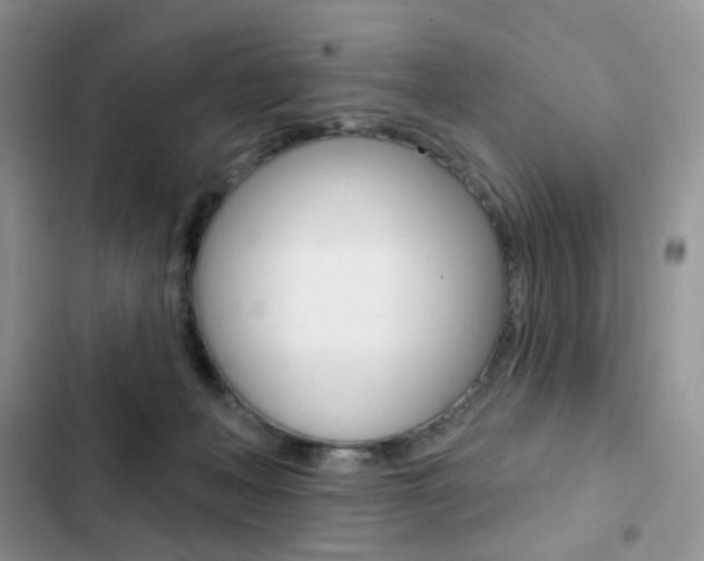 X0000102830222200808181056
