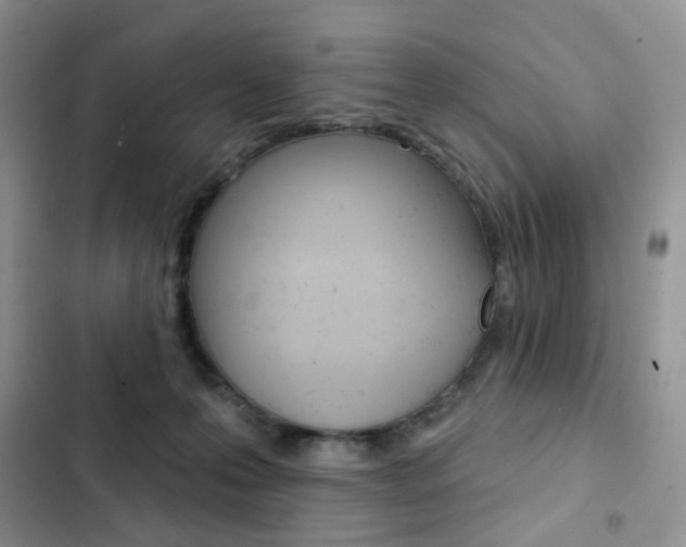 X0000102830223200808181056