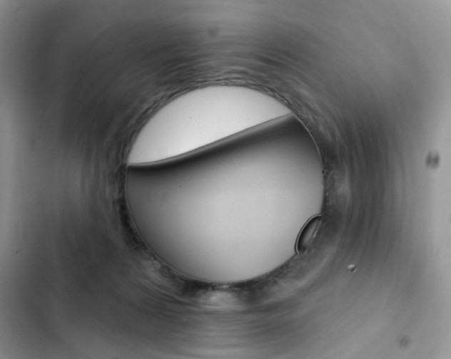 X0000102830224200808181056
