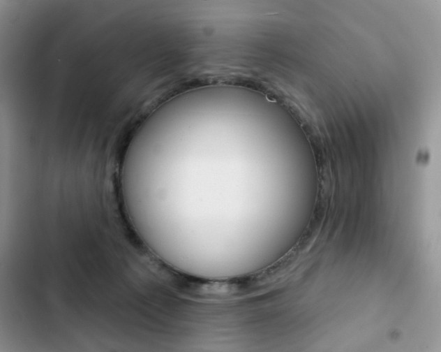 X0000102830225200808181056
