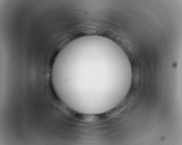 X0000102830226200808181056