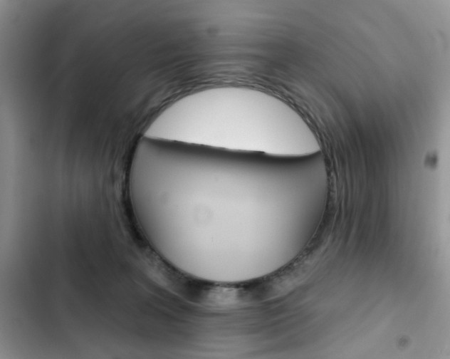 X0000102830227200808181056