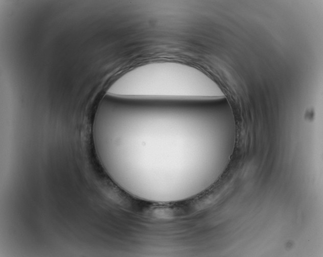 X0000102830228200808181056