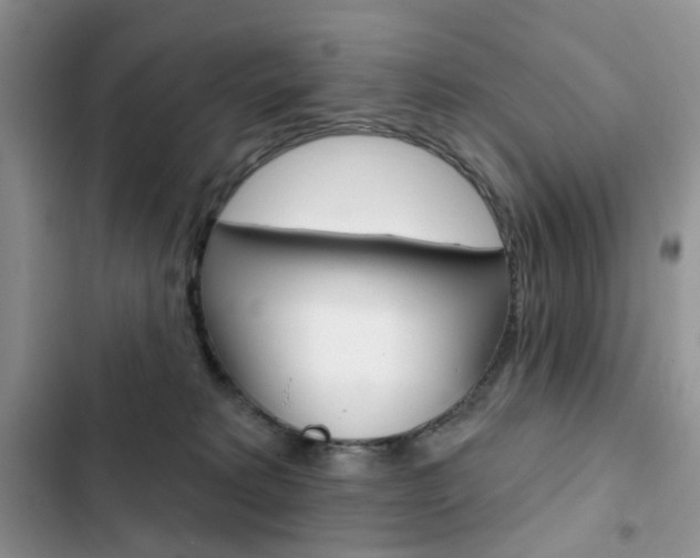 X0000102830229200808181056