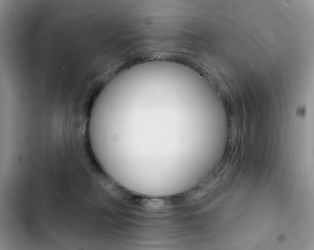 X0000102830230200808181056