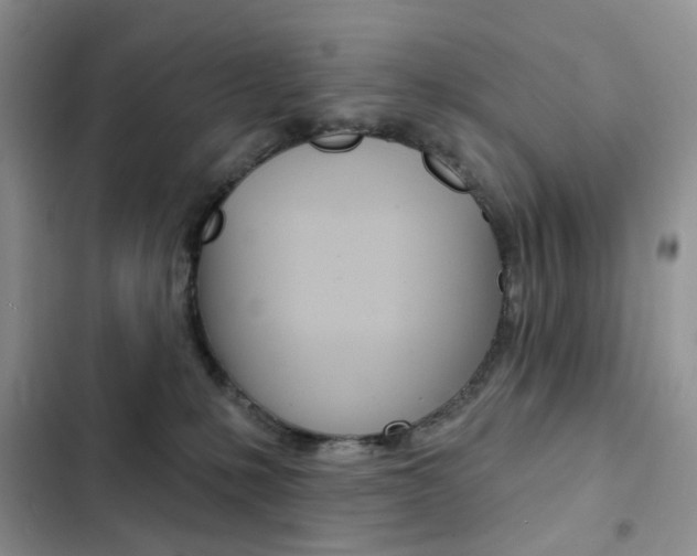 X0000102830231200808181056