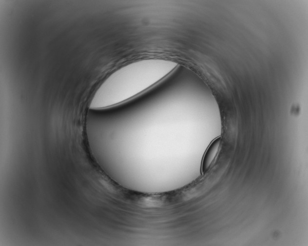 X0000102830232200808181056