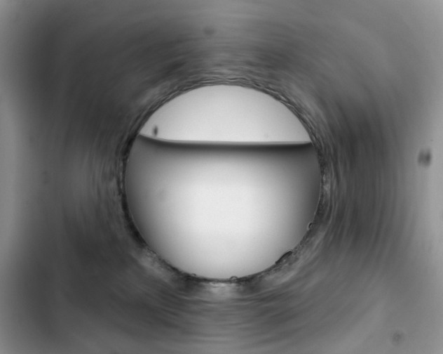 X0000102830233200808181056