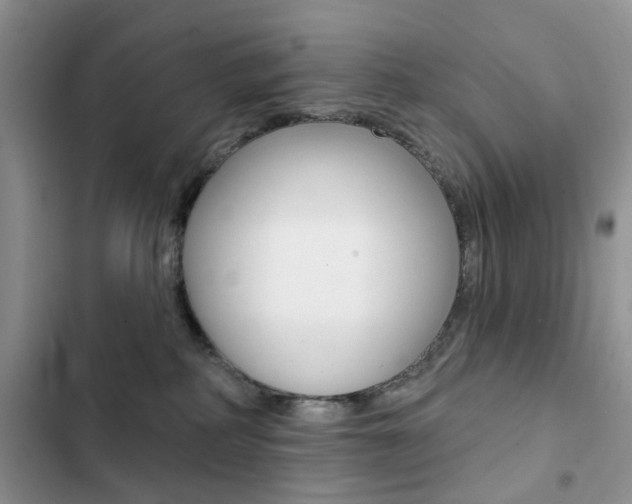 X0000102830234200808181056