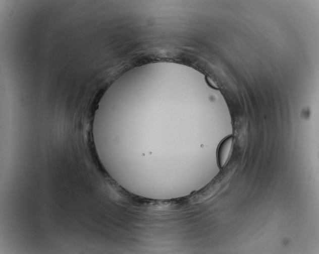 X0000102830235200808181056