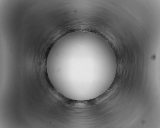 X0000102830236200808181056