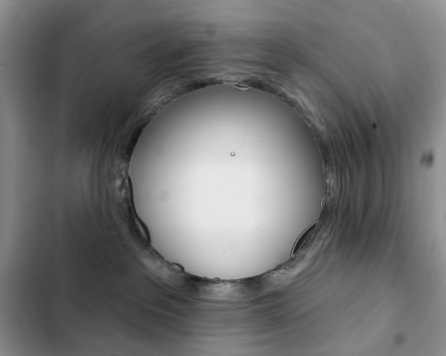 X0000102830237200808181056