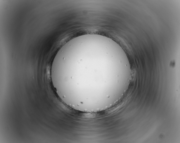 X0000102830238200808181056