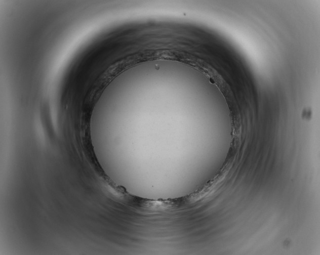 X0000102830239200808181056