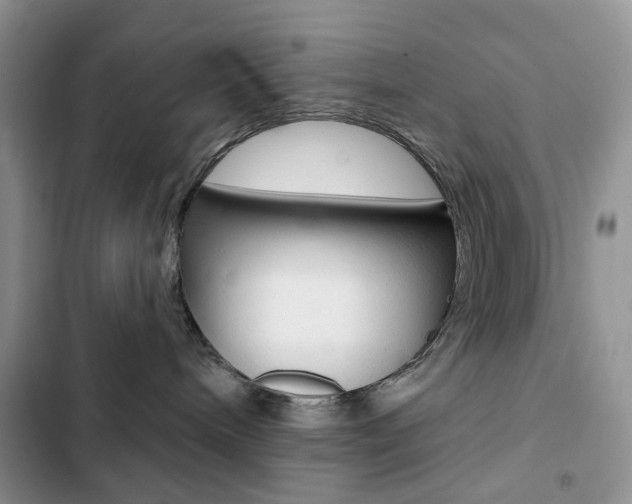 X0000102830240200808181056