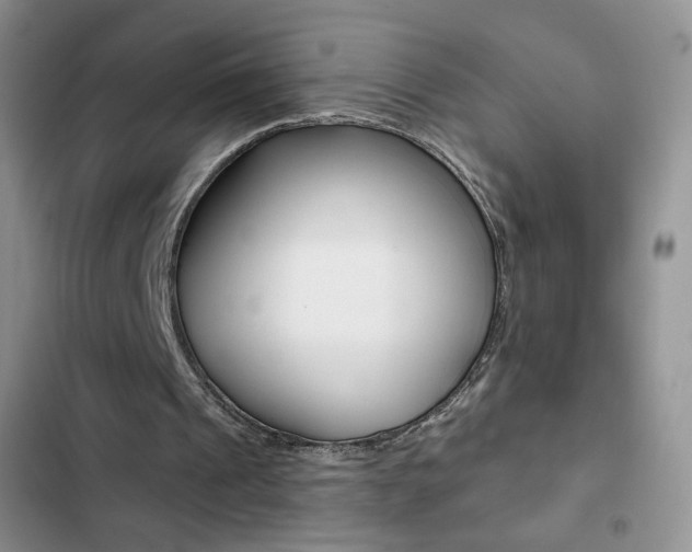 X0000102830241200808181055