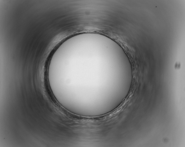 X0000102830242200808181055