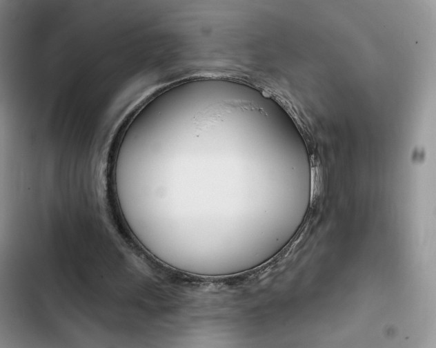 X0000102830243200808181055