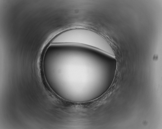 X0000102830244200808181055