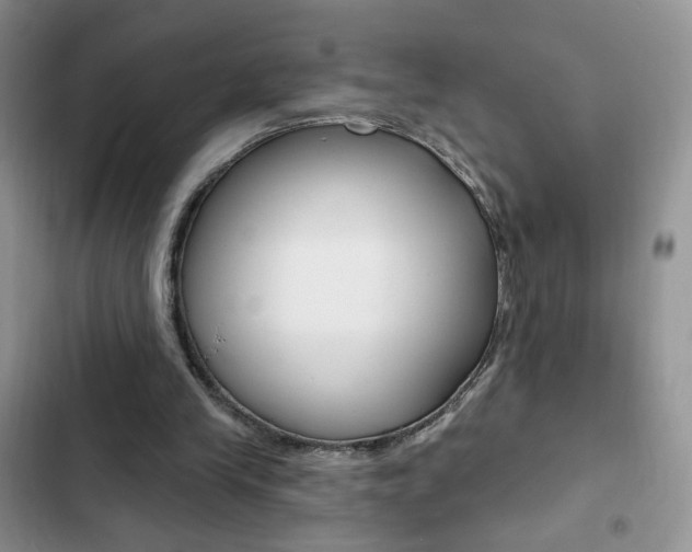 X0000102830245200808181055