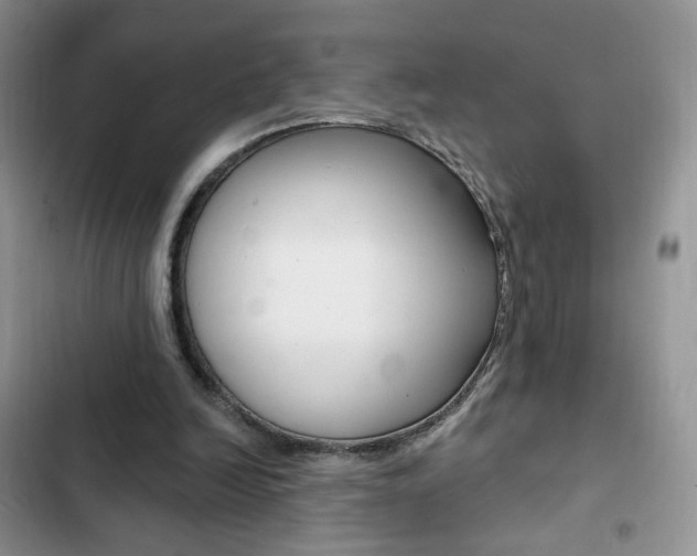 X0000102830246200808181055