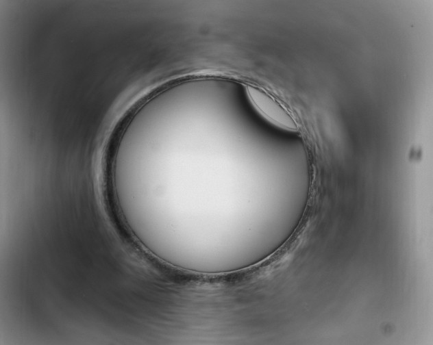 X0000102830247200808181055