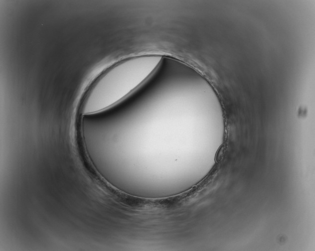 X0000102830248200808181055