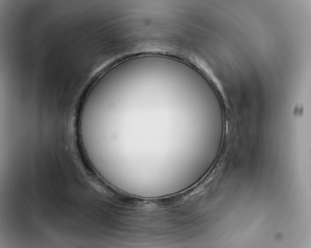 X0000102830249200808181055