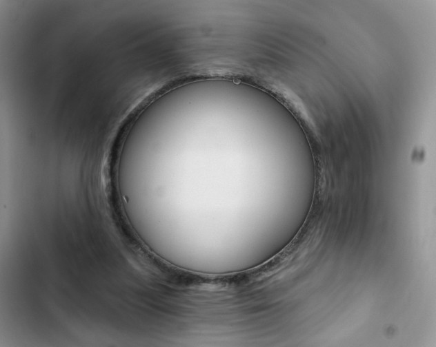 X0000102830251200808181055