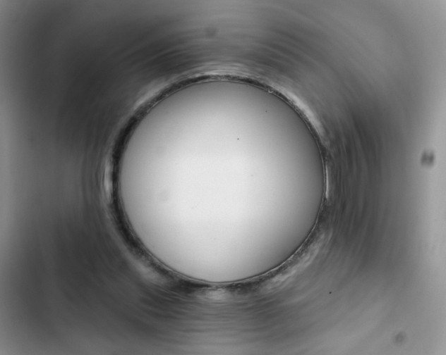 X0000102830253200808181055