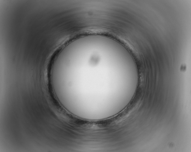 X0000102830254200808181055