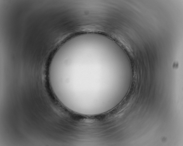 X0000102830255200808181055