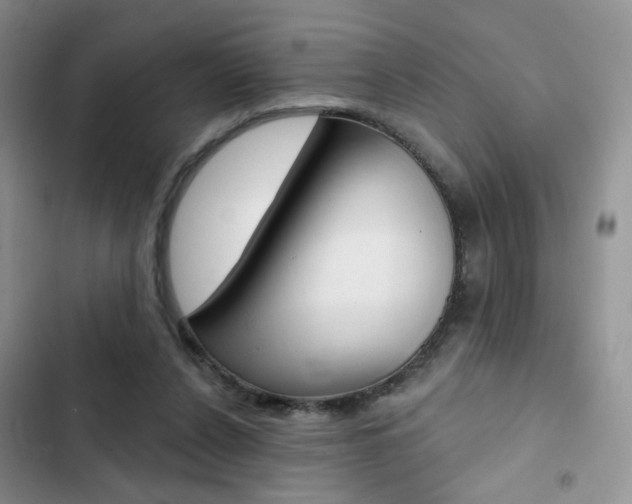 X0000102830256200808181055