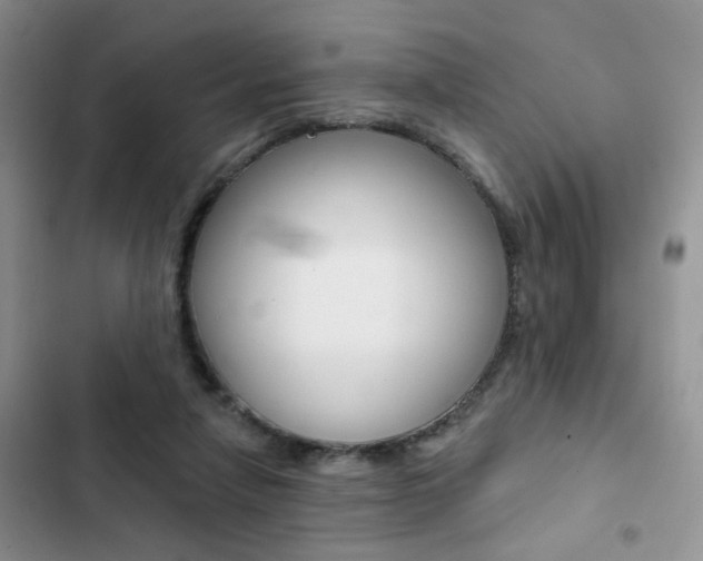 X0000102830258200808181055