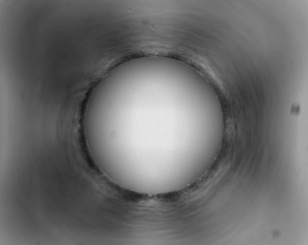 X0000102830259200808181055