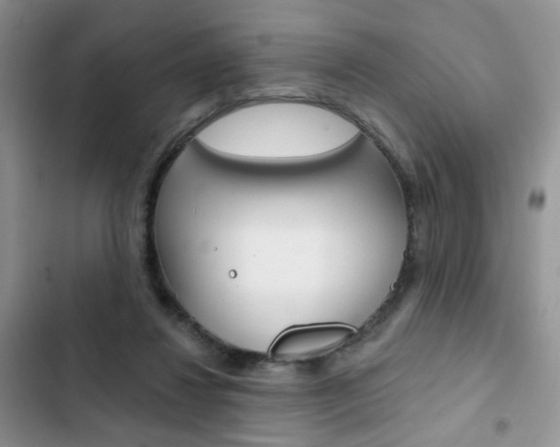 X0000102830260200808181055