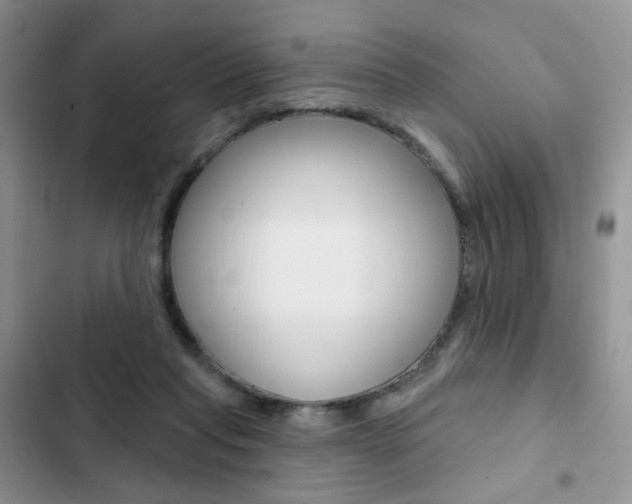 X0000102830261200808181055