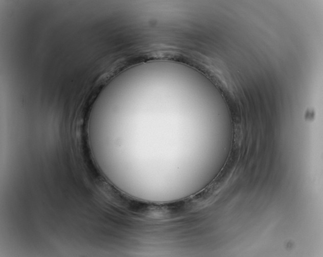 X0000102830263200808181055