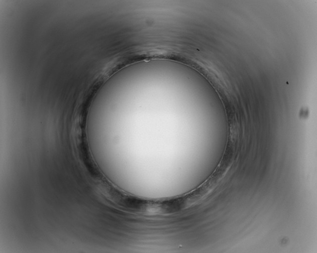 X0000102830264200808181055