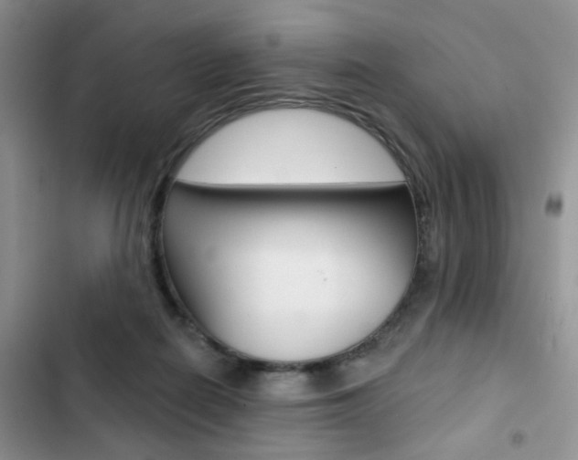 X0000102830266200808181055