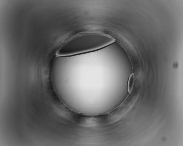 X0000102830268200808181056