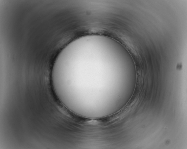 X0000102830269200808181056