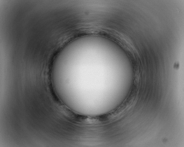 X0000102830270200808181056