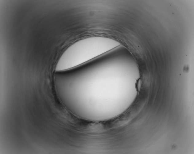 X0000102830271200808181056