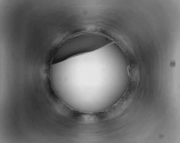 X0000102830272200808181056