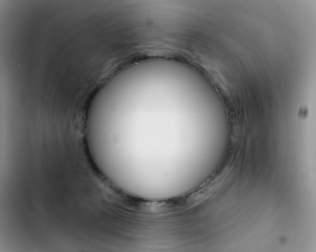 X0000102830273200808181056