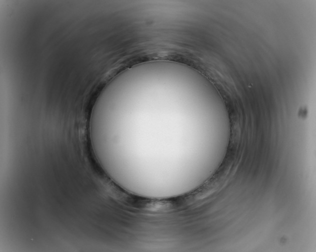 X0000102830274200808181056