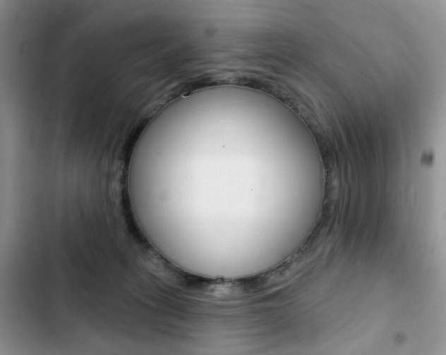 X0000102830275200808181056