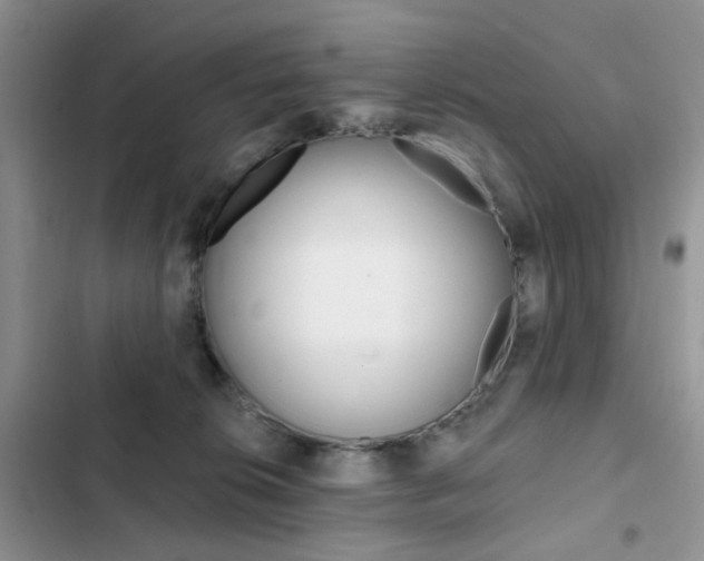 X0000102830276200808181056